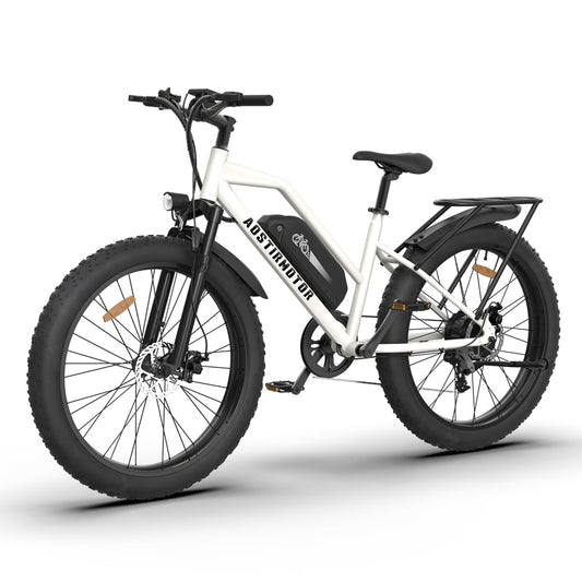 Electric Mountain Bike, Snow and Road Warrior, City Cruiser
