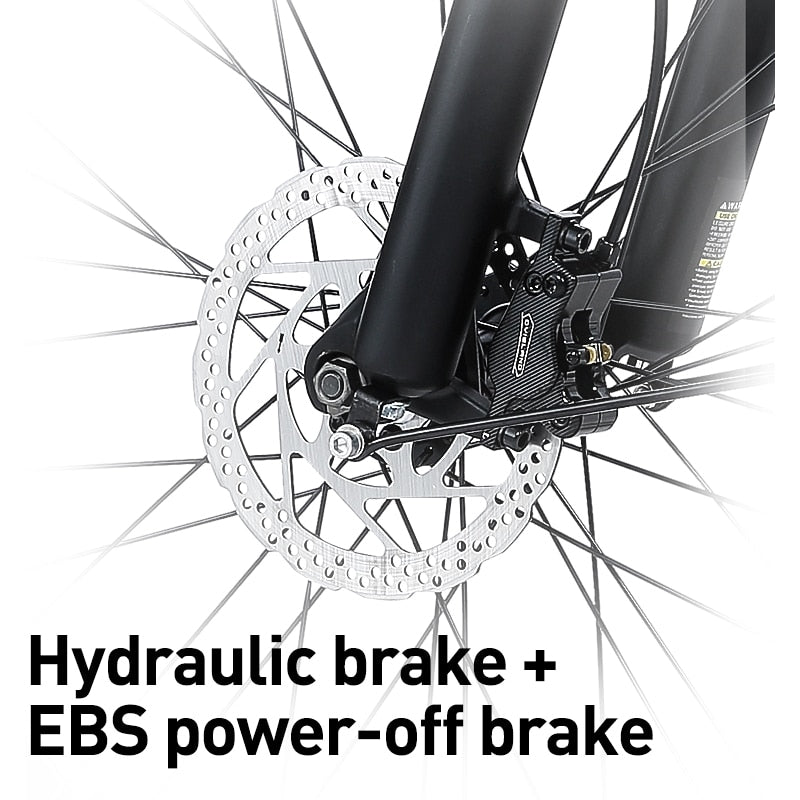 Powerful 1000W Electric Foldable Mountain Bike, Fat Tire E-Bike, City and Off-Road