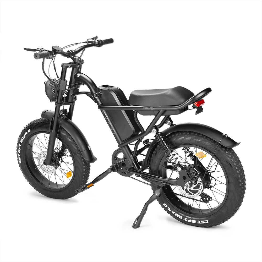 Motorbike Style Electric Bicycle 20 Inch Fat Tires, Mountain Trails, Beach or City