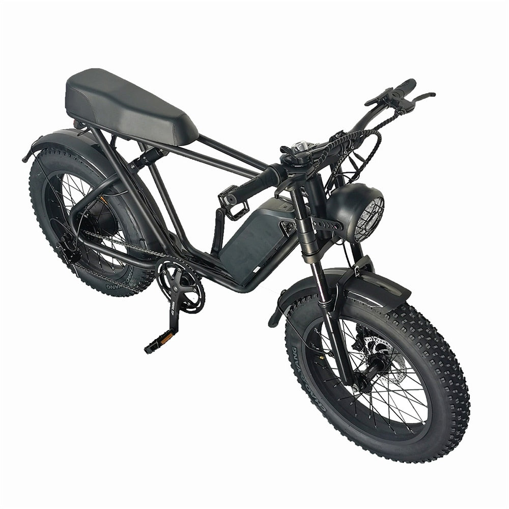 Motorbike Style Electric Bicycle 20 Inch Fat Tires, Mountain Trails, Beach or City