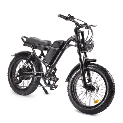 Motorbike Style Electric Bicycle 20 Inch Fat Tires, Mountain Trails, Beach or City