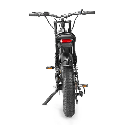 Motorbike Style Electric Bicycle 20 Inch Fat Tires, Mountain Trails, Beach or City