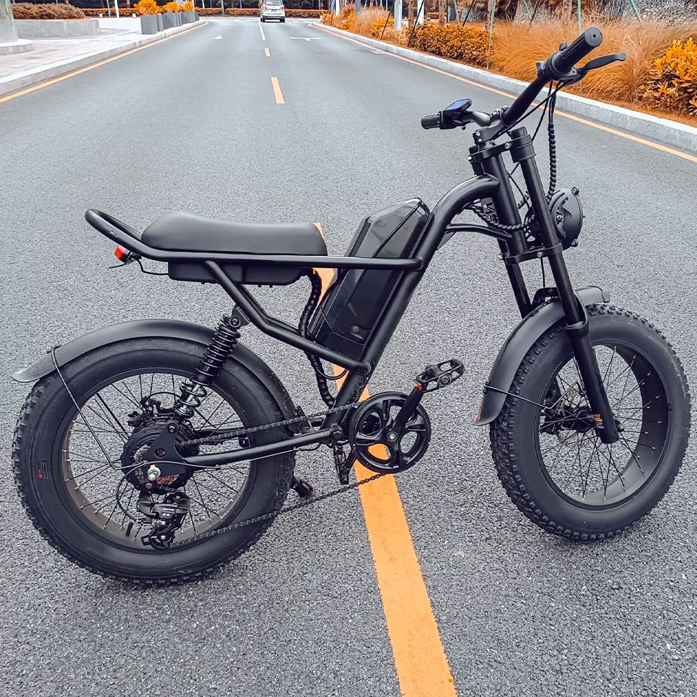 Motorbike Style Electric Bicycle 20 Inch Fat Tires, Mountain Trails, Beach or City