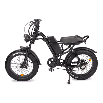 Motorbike Style Electric Bicycle 20 Inch Fat Tires, Mountain Trails, Beach or City