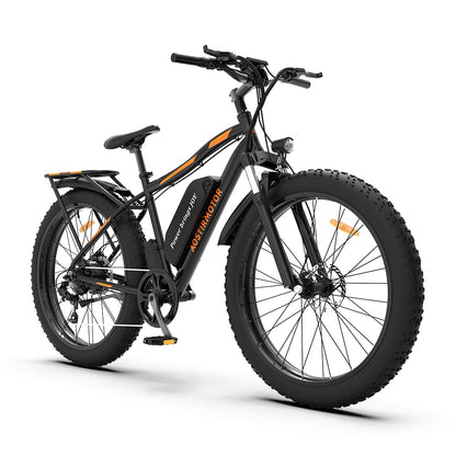 Electric Mountain Bike, Snow and Road Warrior, City Cruiser